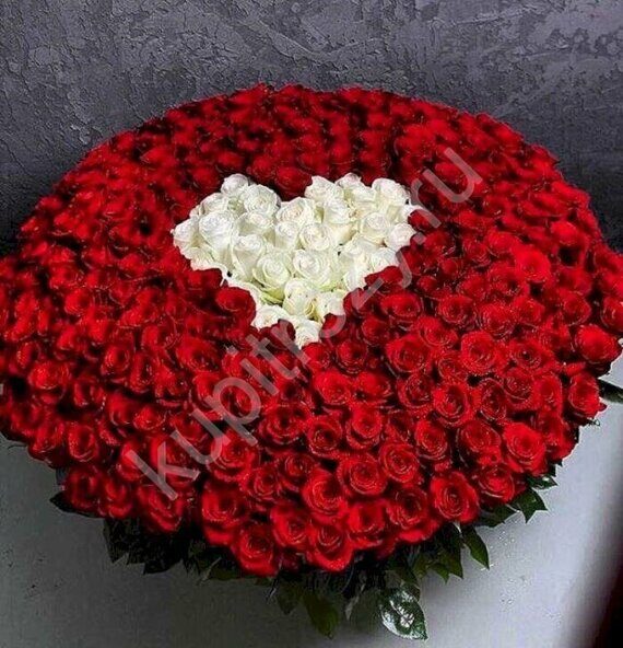 Сердце из 301 розы